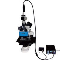 YOA-8402 # Raman Microscope